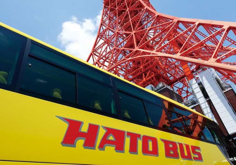 Tokyo: A Half-Day Trip Bus Tour in the Morning - Key points at a glance