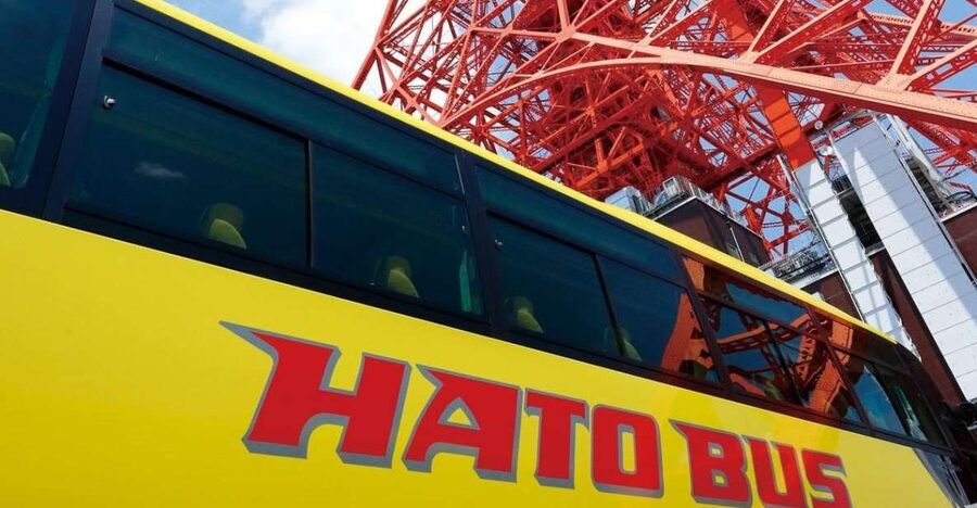 Tokyo: A Half-Day Trip Bus Tour in the Morning - Is this $40 Tokyo tour worth booking?