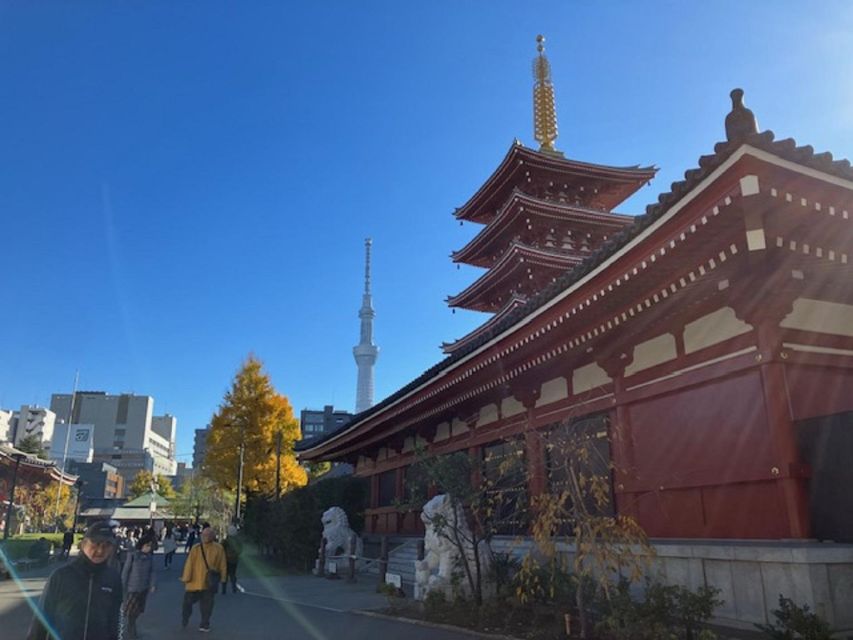Tokyo: A Half-Day Trip Bus Tour in the Morning - Who should book it