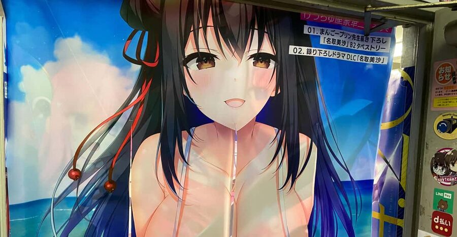 Tokyo: Akihabara Private Hentai Tour - Three hours among games, manga, and anime