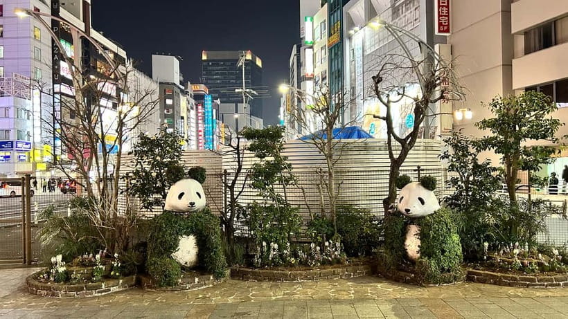 Tokyo: Akihabara, Shibuya, Karaoke & City Lights Night Tour - Akihabara for electronics and anime