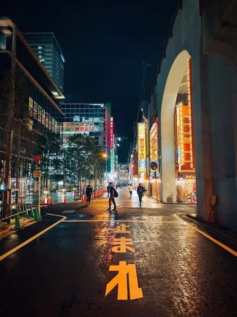 Tokyo: Akihabara, Shibuya, Karaoke & City Lights Night Tour - Kabukichō and karaoke in Shinjuku