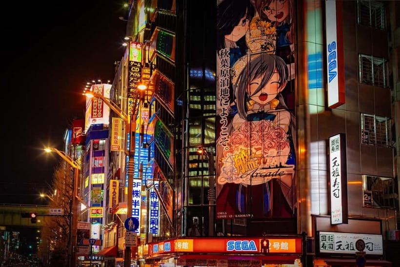 Tokyo: Akihabara, Shibuya, Karaoke & City Lights Night Tour - Guides, languages, and group atmosphere