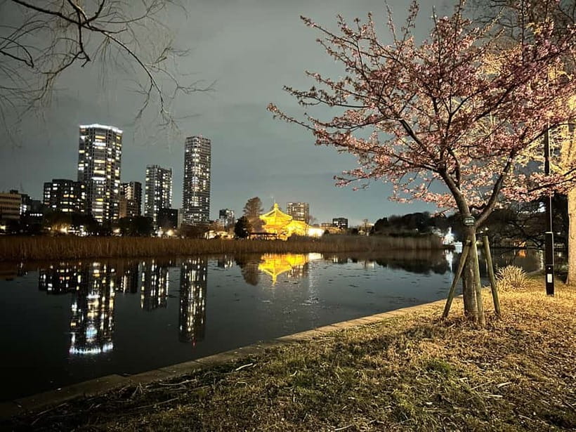 Tokyo: Akihabara, Shibuya, Karaoke & City Lights Night Tour - Who should book this Tokyo night tour?