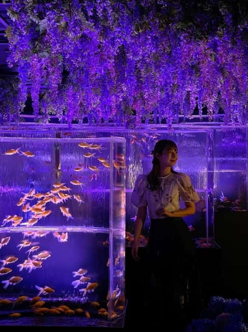 Tokyo: Art Aquarium Museum GINZA Entry Ticket - A modern Ginza take on Edo goldfish culture