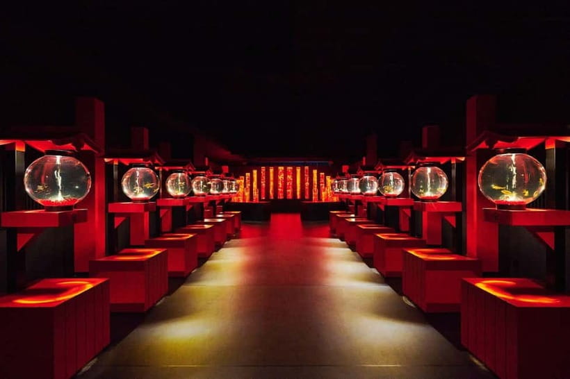 Tokyo: Art Aquarium Museum GINZA Entry Ticket - Getting to Ginza Mitsukoshi