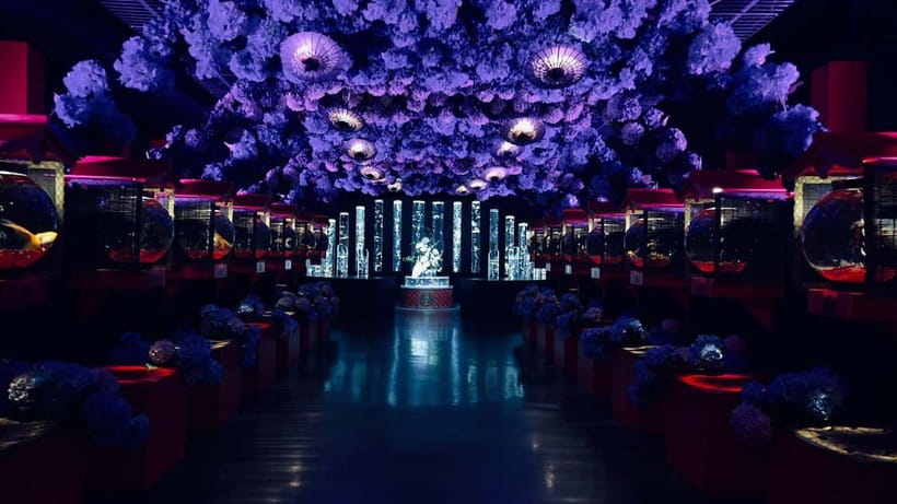 Tokyo: Art Aquarium Museum GINZA Entry Ticket - Is $17 a fair price?