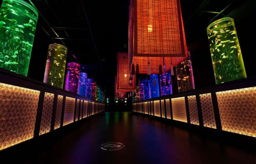 Tokyo: Art Aquarium Museum GINZA Entry Ticket - A note about the fish and the presentation