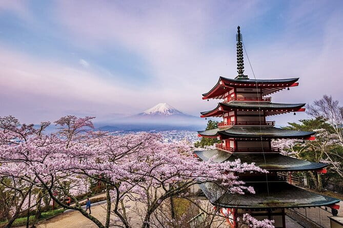 Tokyo: Asakusa Temple & Shrine Walking Tour with Local Guide - Asakusa Shrine and the meeting of two traditions
