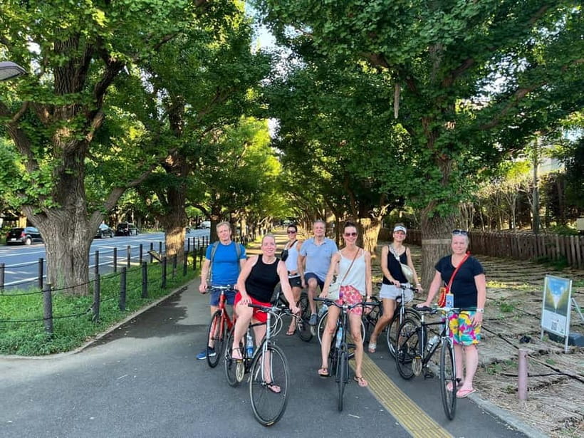 Tokyo Bike Tour: Shibuya, Harajuku & Hidden Gems - Gaien’s ginkgo avenue and the National Stadium