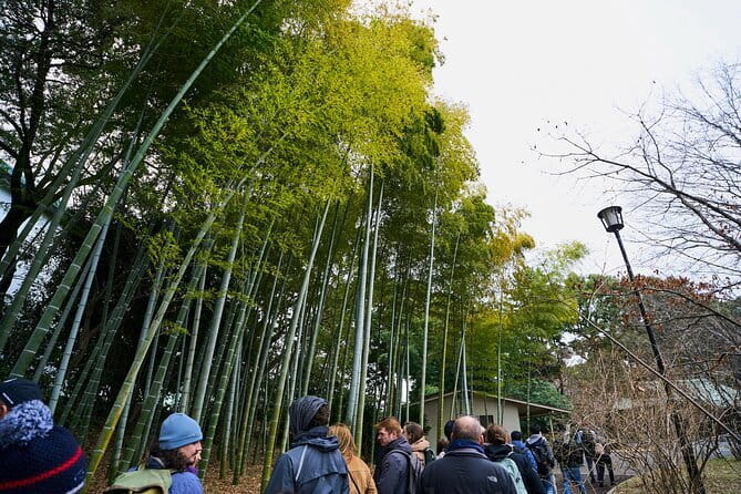 Tokyo Castle & Imperial PalaceーShogun Walking Tour - Why Edo Castle explains modern Tokyo