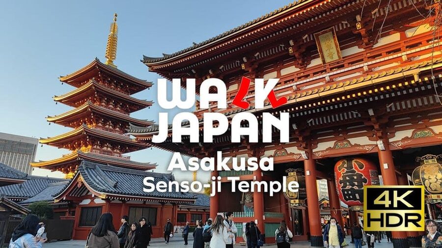 Tokyo: Customizable Day Trip Within Tokyo & English-Driver - Key points at a glance