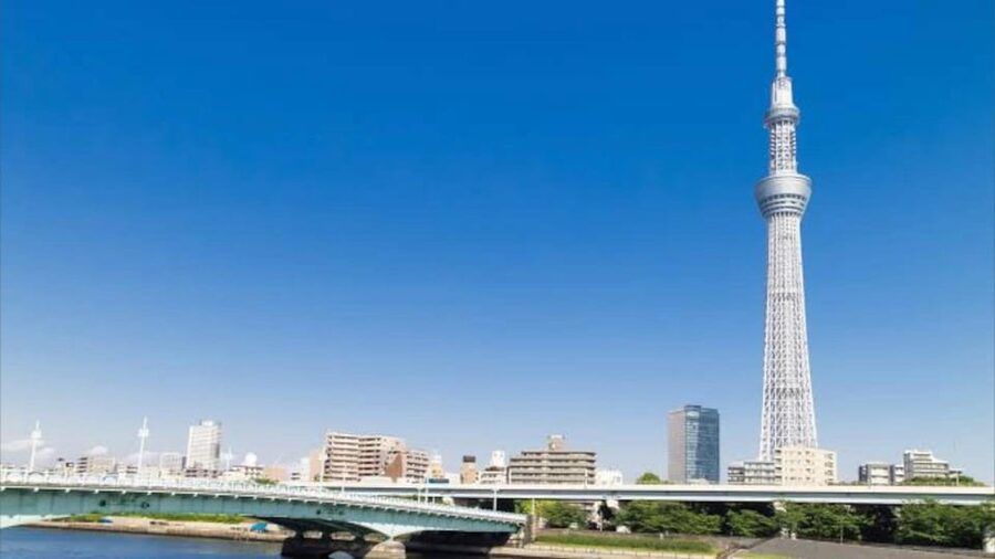 Tokyo: Customizable Private Guided Walking Tour - What the guides add to the experience