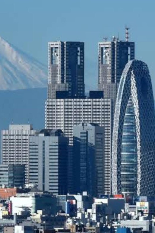 Tokyo: Customizable Private Guided Walking Tour - What $87 buys you, and what it does not