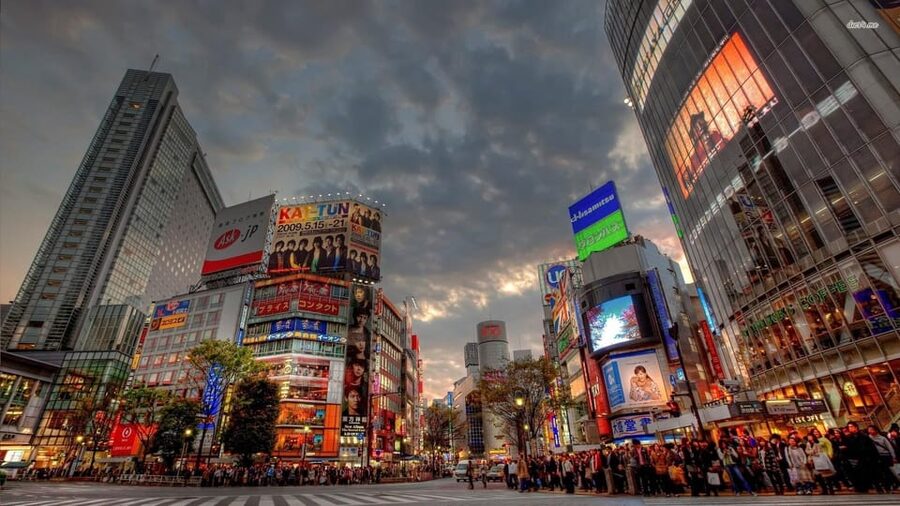 Tokyo: Customized Private Tour with a Local Guide - Shinjuku, black markets, and the narrow lanes of Golden Gai