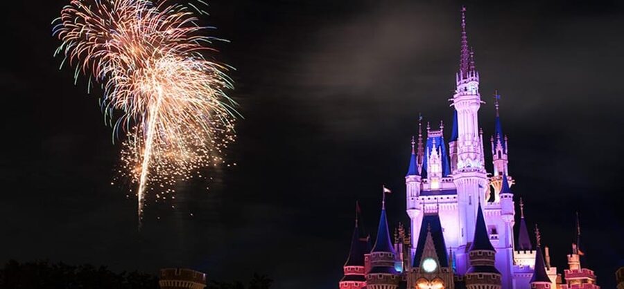 Tokyo Disneyland: 1-Day Entry Ticket and Private Transfer - What the service record tells me
