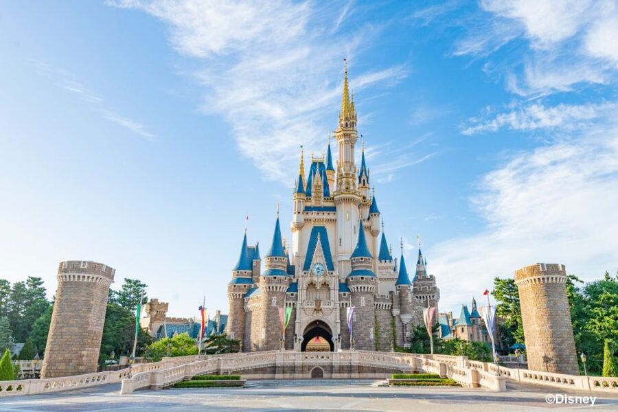 Tokyo Disneyland 1-Day Passport - Entering Tokyo Disneyland with a one-day passport