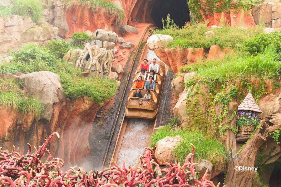 Tokyo Disneyland 1-Day Passport - Tokyo Disney app and paid access