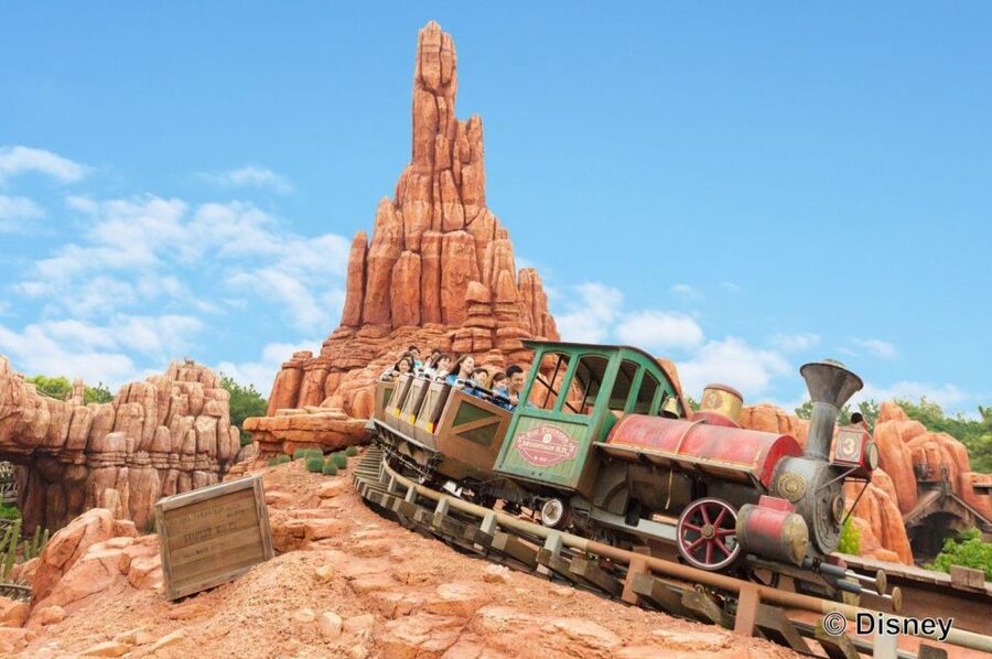 Tokyo Disneyland 1-Day Passport - Crowd control, weather, and comfort
