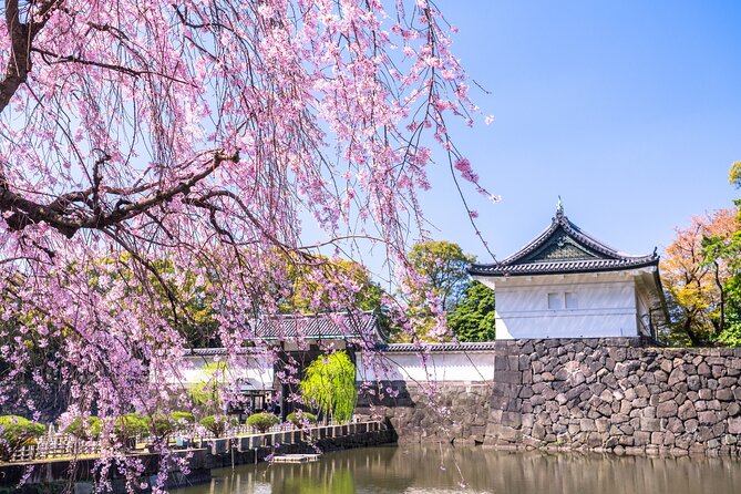 Tokyo: Edo Castle & East Garden of the Imperial Palace Tour - Why Edo Castle matters in the middle of modern Tokyo