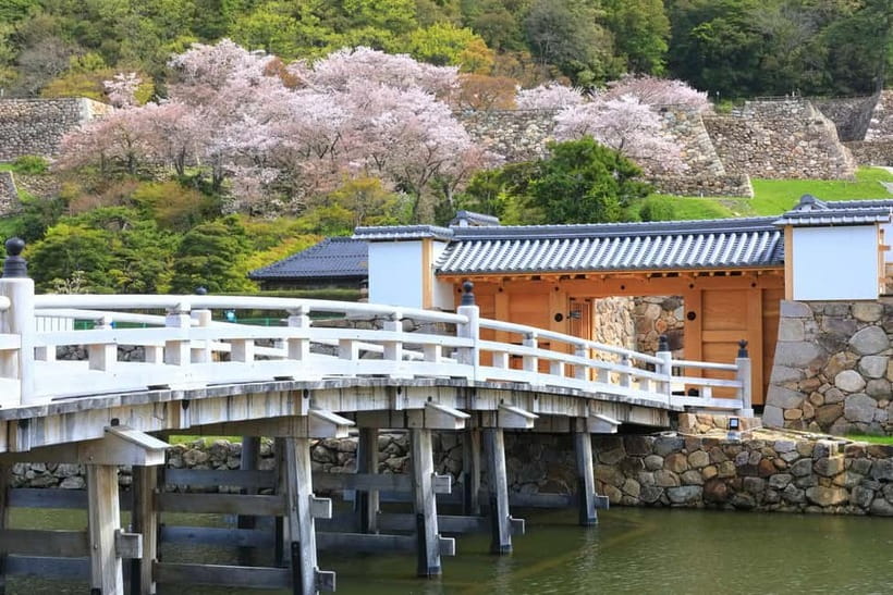 Tokyo: Edo Castle & East Garden of the Imperial Palace Tour - FAQ