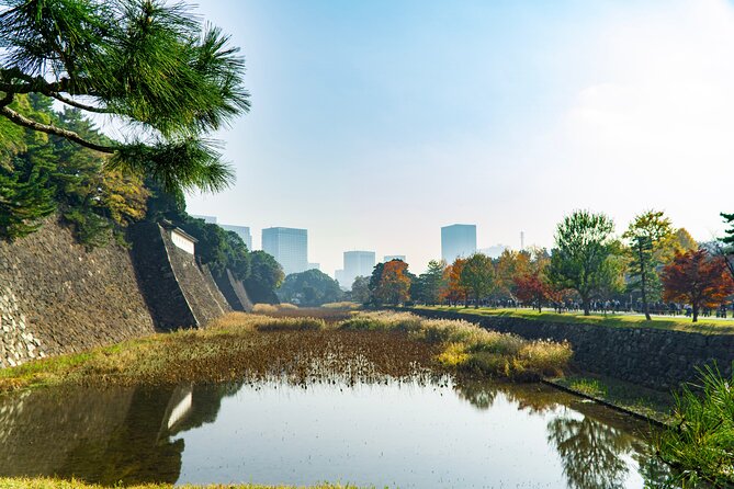Tokyo: Edo Castle & East Garden of the Imperial Palace Tour - Inside the East Gardens, where the ruins tell the story