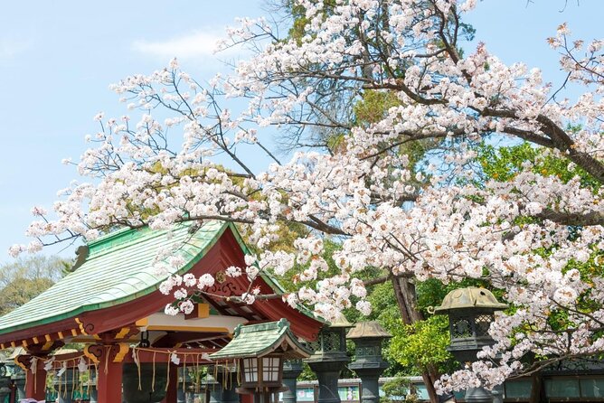 Tokyo: Food Tour in Ueno with 10+ Tastings of Japanese Classics - Seven stops, many small tastes