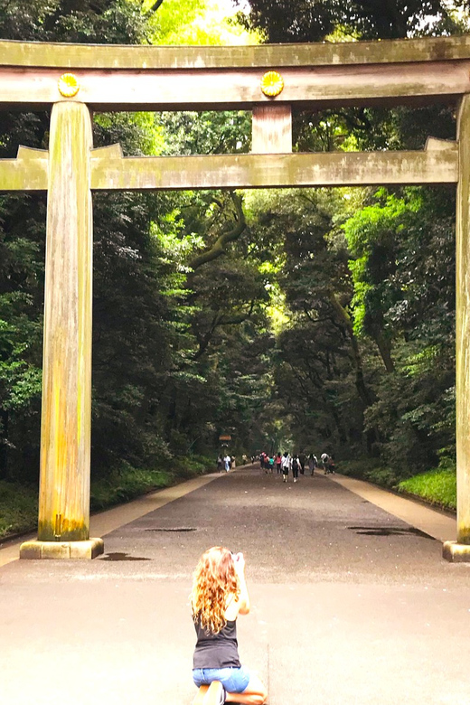 Tokyo: Full Course Tour: Explore 10 Must-Sees & Hidden Gems - Akihabara shows Tokyo’s pop culture side