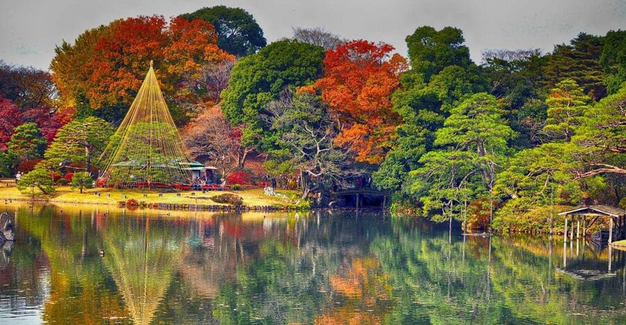 Tokyo: Full-Day Japanese Garden Private Guided Tour - Harajuku lunch gives the day a needed pause