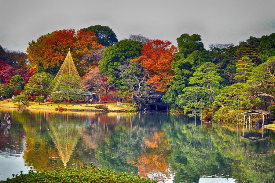 Tokyo: Full-Day Japanese Garden Private Guided Tour - Meiji-Jingu Shrine and a quiet teahouse garden