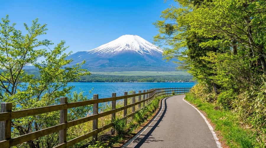 Tokyo: Full-Day Tour of the Six Majestic Spots of Mt Fuji - Six Fuji moments worth getting up early for
