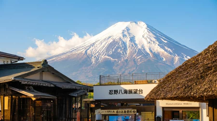 Tokyo: Full-Day Tour of the Six Majestic Spots of Mt Fuji - Higashikawa Clock Shop and the Sky Ladder Town view