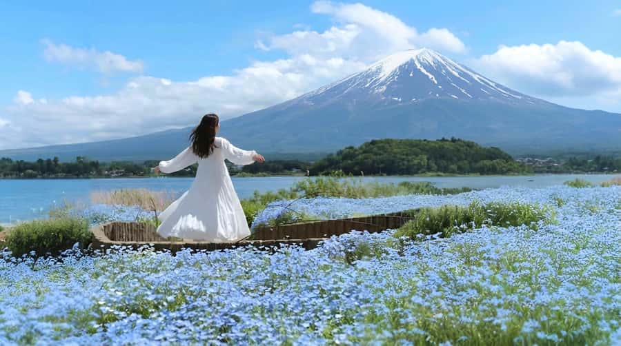 Tokyo: Full-Day Tour of the Six Majestic Spots of Mt Fuji - Lawson and the modern Fuji photograph