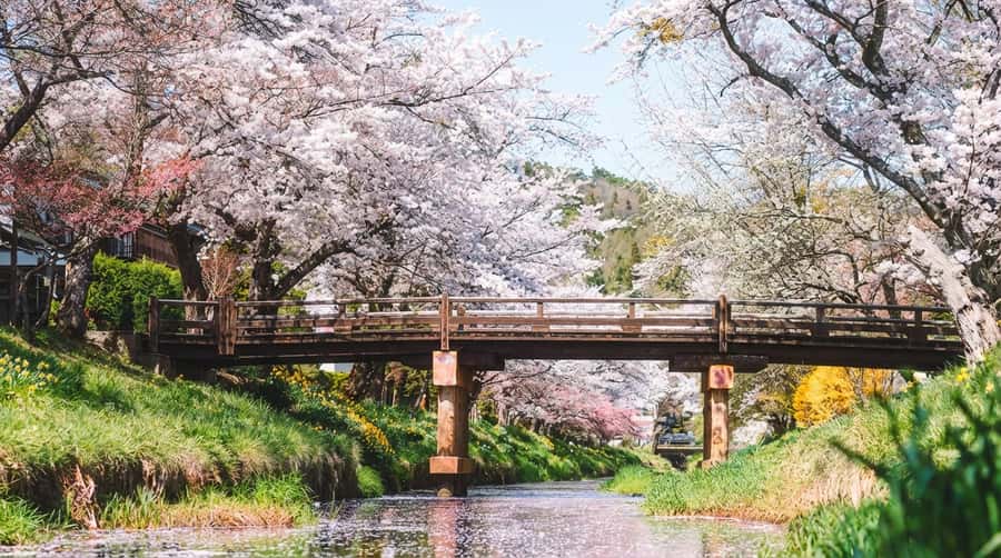Tokyo: Full-Day Tour of the Six Majestic Spots of Mt Fuji - Lake Kawaguchi and Oishi Park’s changing colors