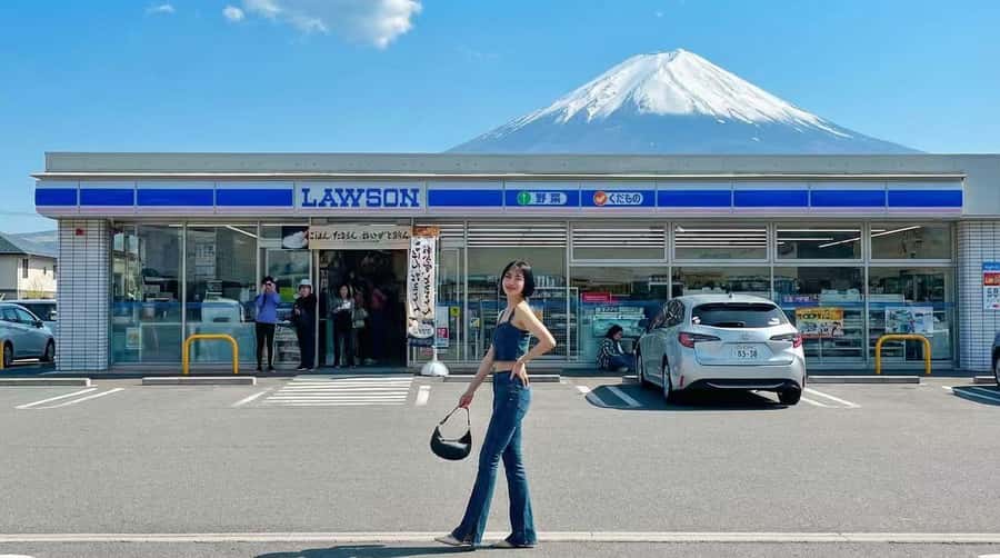 Tokyo: Full-Day Tour of the Six Majestic Spots of Mt Fuji - What the guide and vehicle add