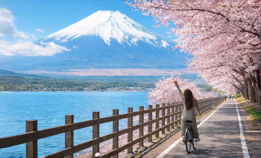 Tokyo: Full-Day Tour of the Six Majestic Spots of Mt Fuji - Hirano Beach: Fuji reflections before the crowds