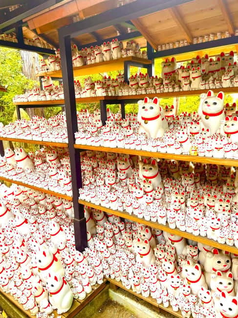 Tokyo: Gotokuji Cat Temple, Shinjuku Cat Cafe & 3D Cat Tour - Why this cat tour works in a city as large as Tokyo