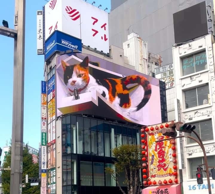 Tokyo: Gotokuji Cat Temple, Shinjuku Cat Cafe & 3D Cat Tour - Gotokuji Shopping Street and cat-themed treats