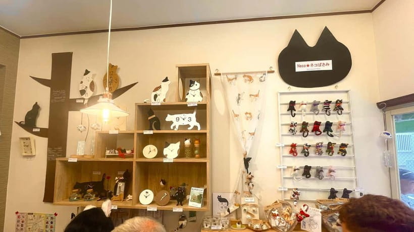 Tokyo: Gotokuji Cat Temple, Shinjuku Cat Cafe & 3D Cat Tour - What the guide adds to the experience