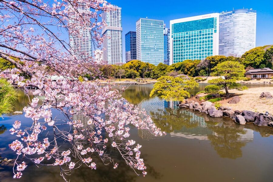 Tokyo: Hama-rikyu Gardens tour with Japanese Tea & Sweets - Why Hama-rikyu works so well for a short Tokyo outing