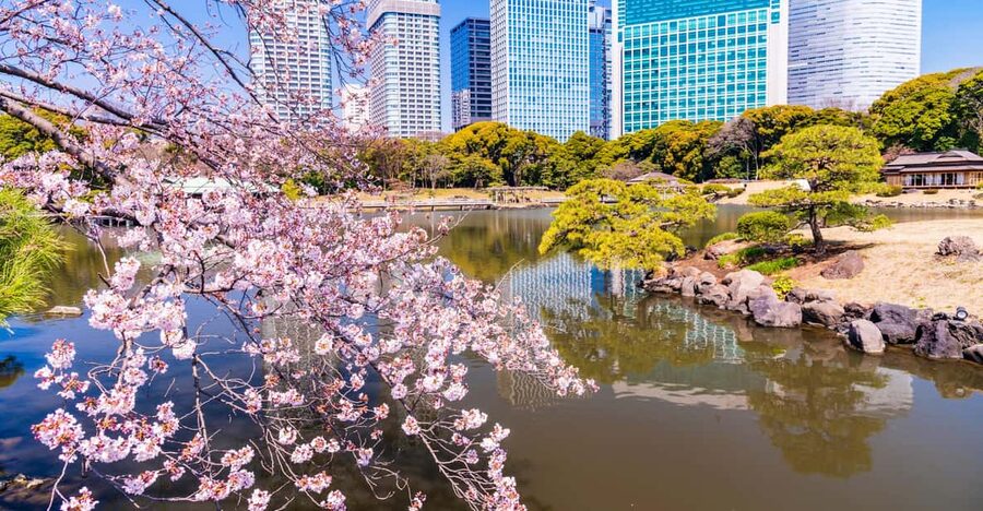 Tokyo: Hama-rikyu Gardens tour with Japanese Tea & Sweets - Why the guide matters here