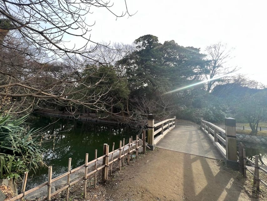 Tokyo: Hama-rikyu Gardens tour with Japanese Tea & Sweets - The tea room and one hour with matcha