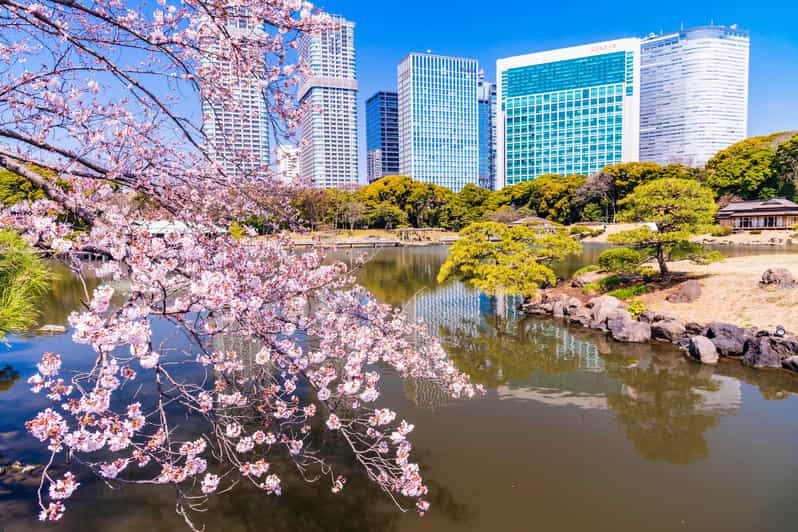 Tokyo: Hama-rikyu Gardens tour with Japanese Tea & Sweets - Who will enjoy this experience most