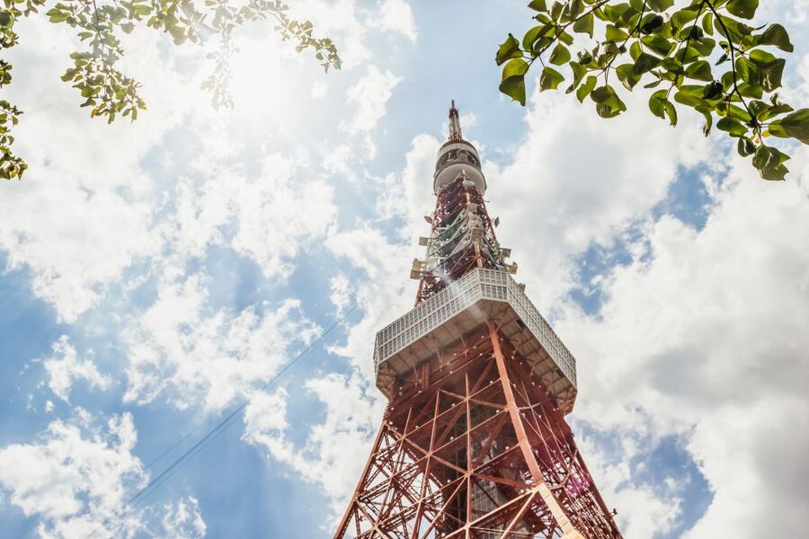 Tokyo: Hop-On Hop-Off Sightseeing Bus Ticket - Is $30 good value?