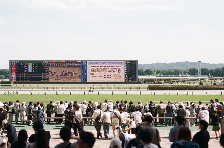 Tokyo: Horse Racing Tour with Local Fan - Why Japanese horse racing makes a memorable Tokyo outing