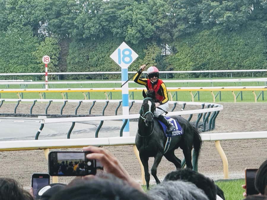 Tokyo: Horse Racing Tour with Local Fan - Meeting Eito and getting through the entrance