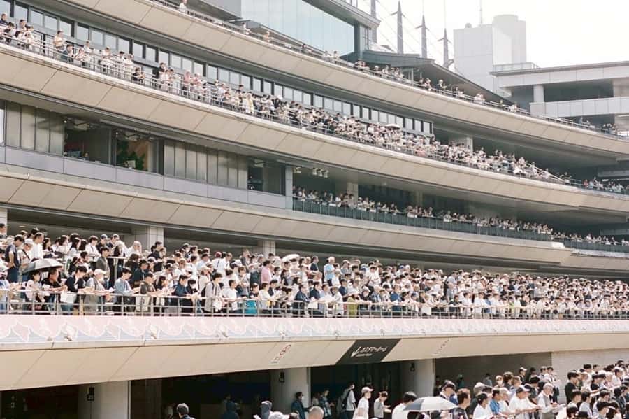 Tokyo: Horse Racing Tour with Local Fan - Eating and drinking between races