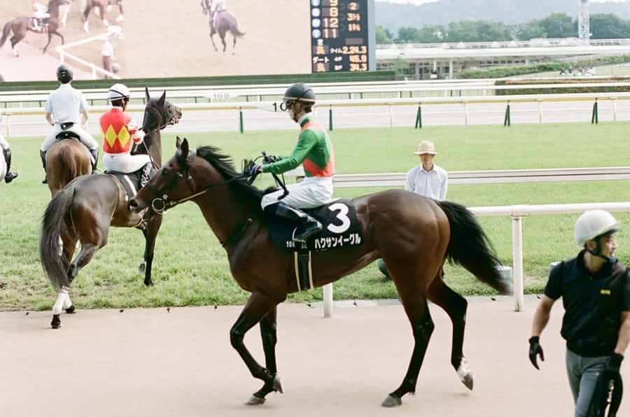 Tokyo: Horse Racing Tour with Local Fan - What makes Eito’s guiding useful