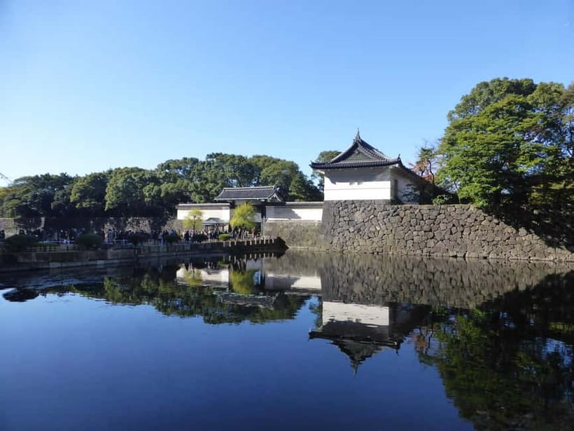 Tokyo: Imperial Palace East Gardens Walking Tour - Seasonal beauty: spring flowers and autumn color
