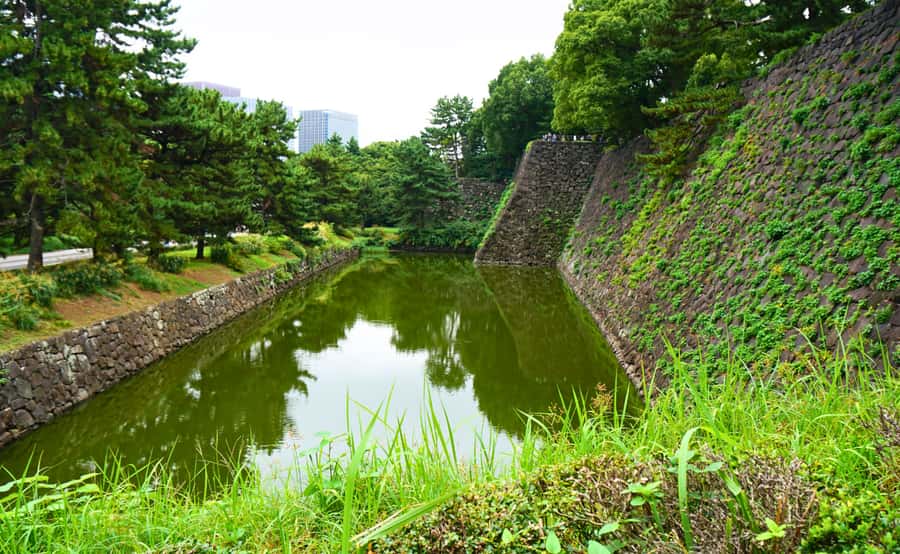Tokyo: Imperial Palace Japanese History Walking Tour - What the guiding is really like
